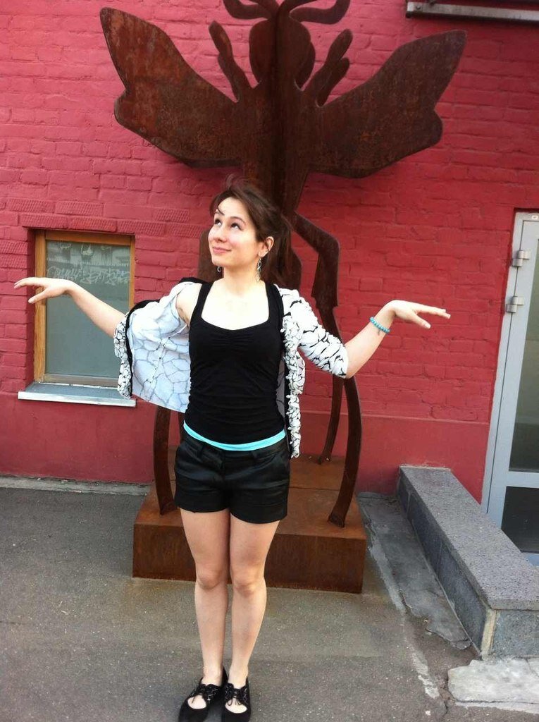 to fly or not to fly