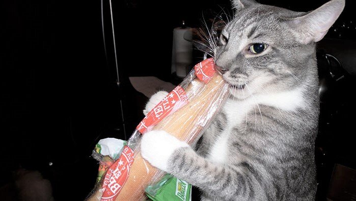 Фото из интернета. 