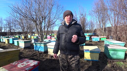 Пасека владимира рябухина