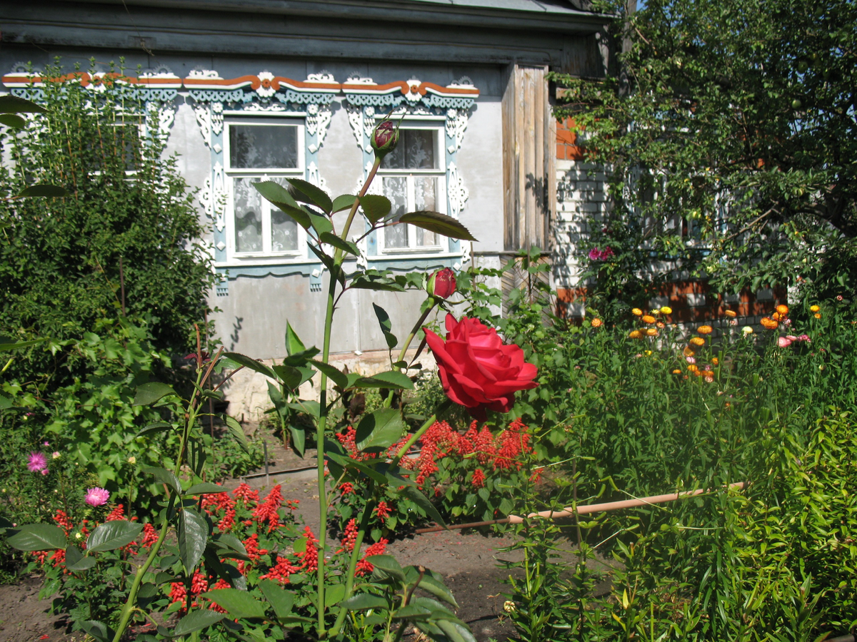 Фото автора. Дом, который построил мой прадед в 1949 году