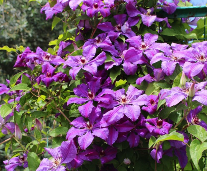 Добавьте описание