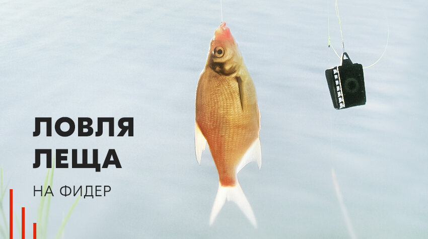 Прикормка Дунаев World Champion Bream Special – специальная прикормка для ловли леща