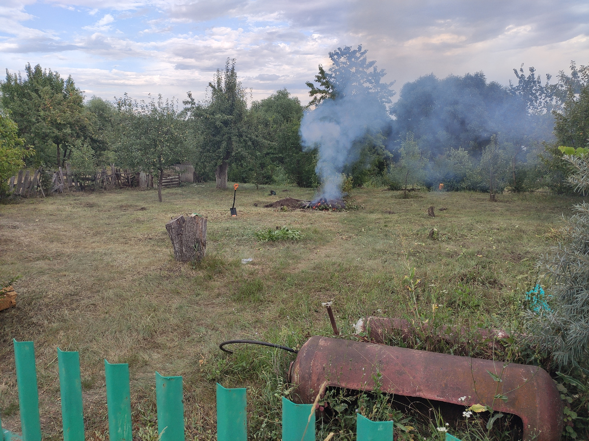 После вырубки деревьев и стрижки травы.