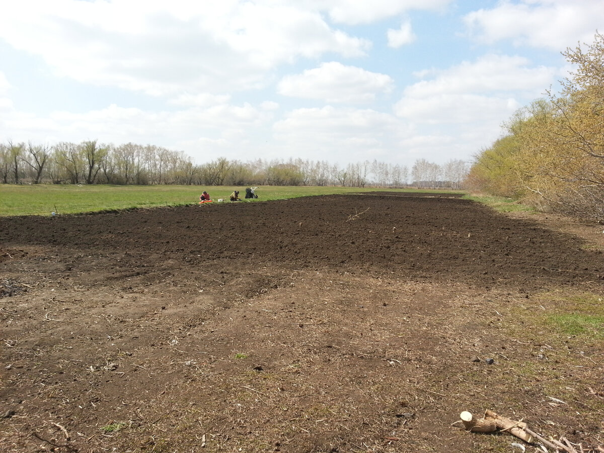 Вот такой огород вас ждёт.