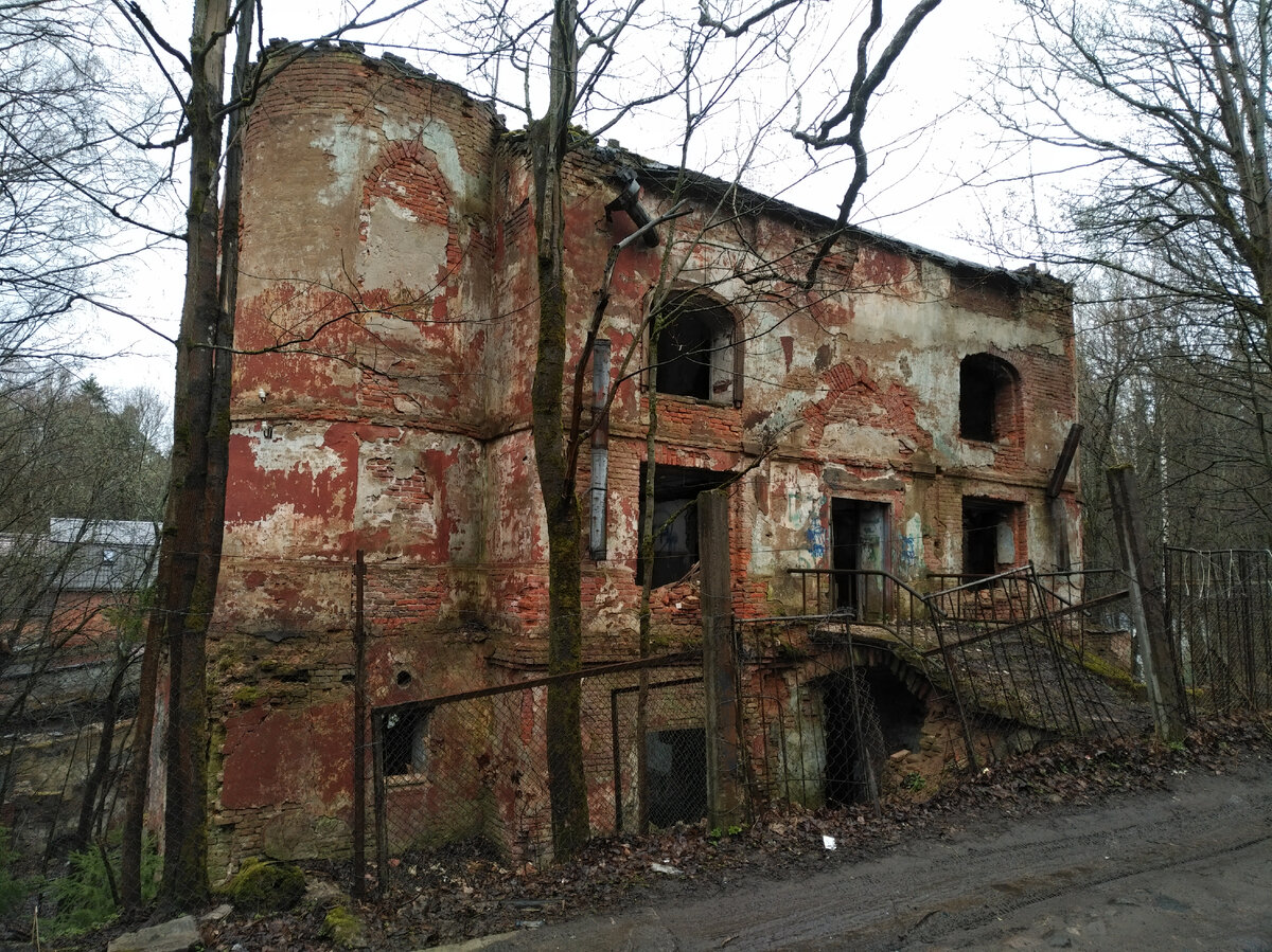 Фото: Артём Нойер 