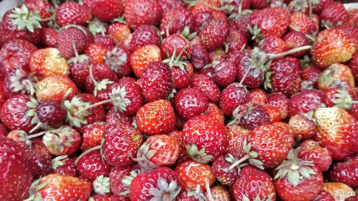 Чудесная ароматная КЛУБНИКА-ЭТО Лето