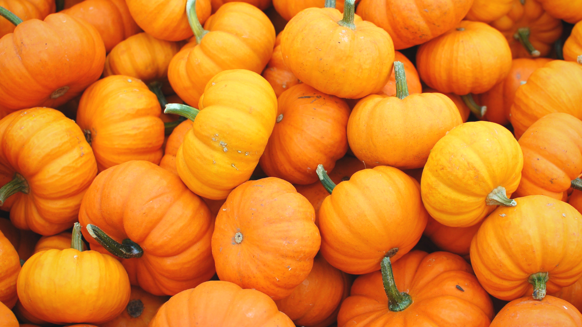 Овощи - кладезь витаминов