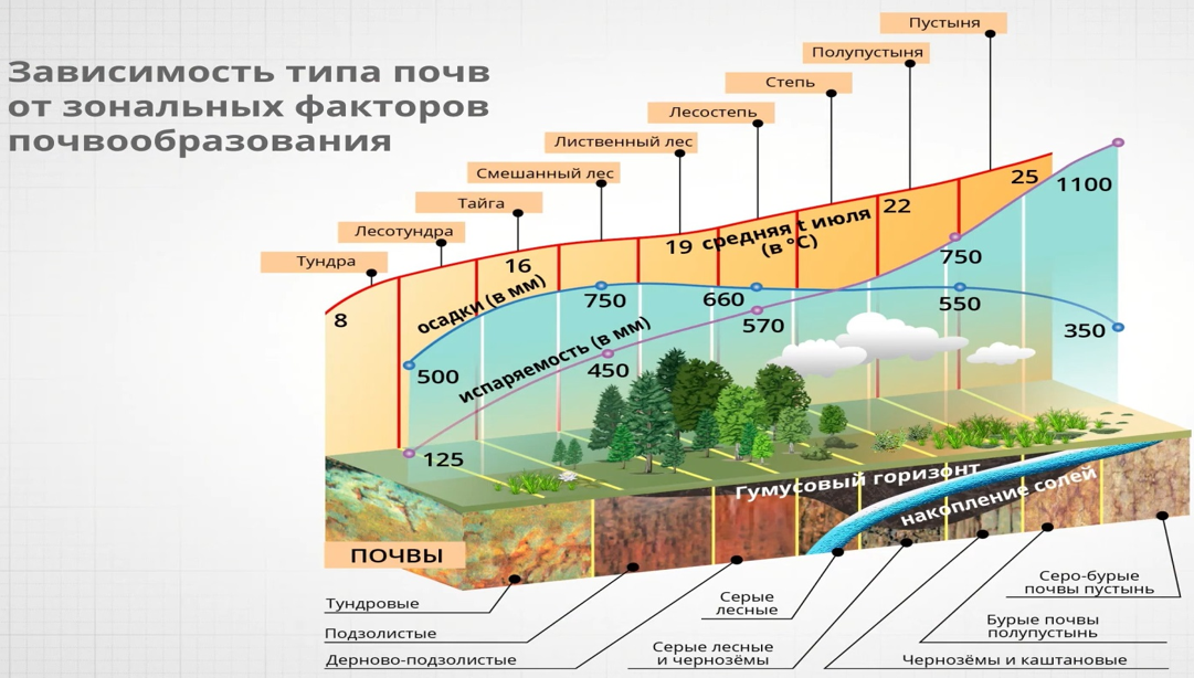 От чего зависит тип почвы