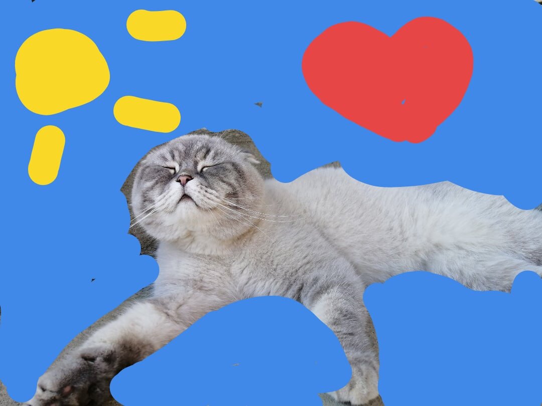 Кот кевин. Кот кевин