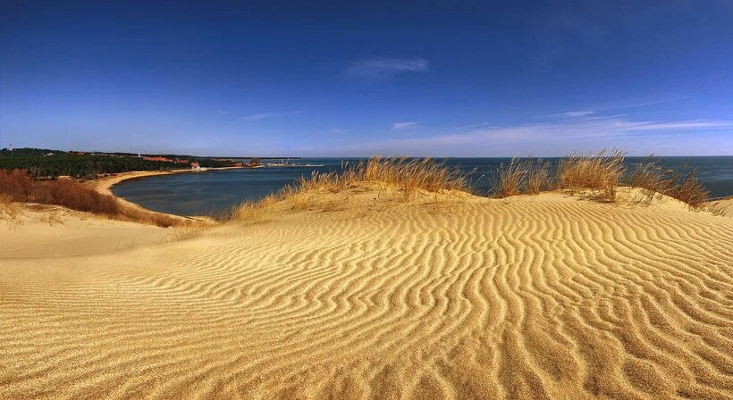 В Neringe пытаются сохранить природу в первозданном виде.