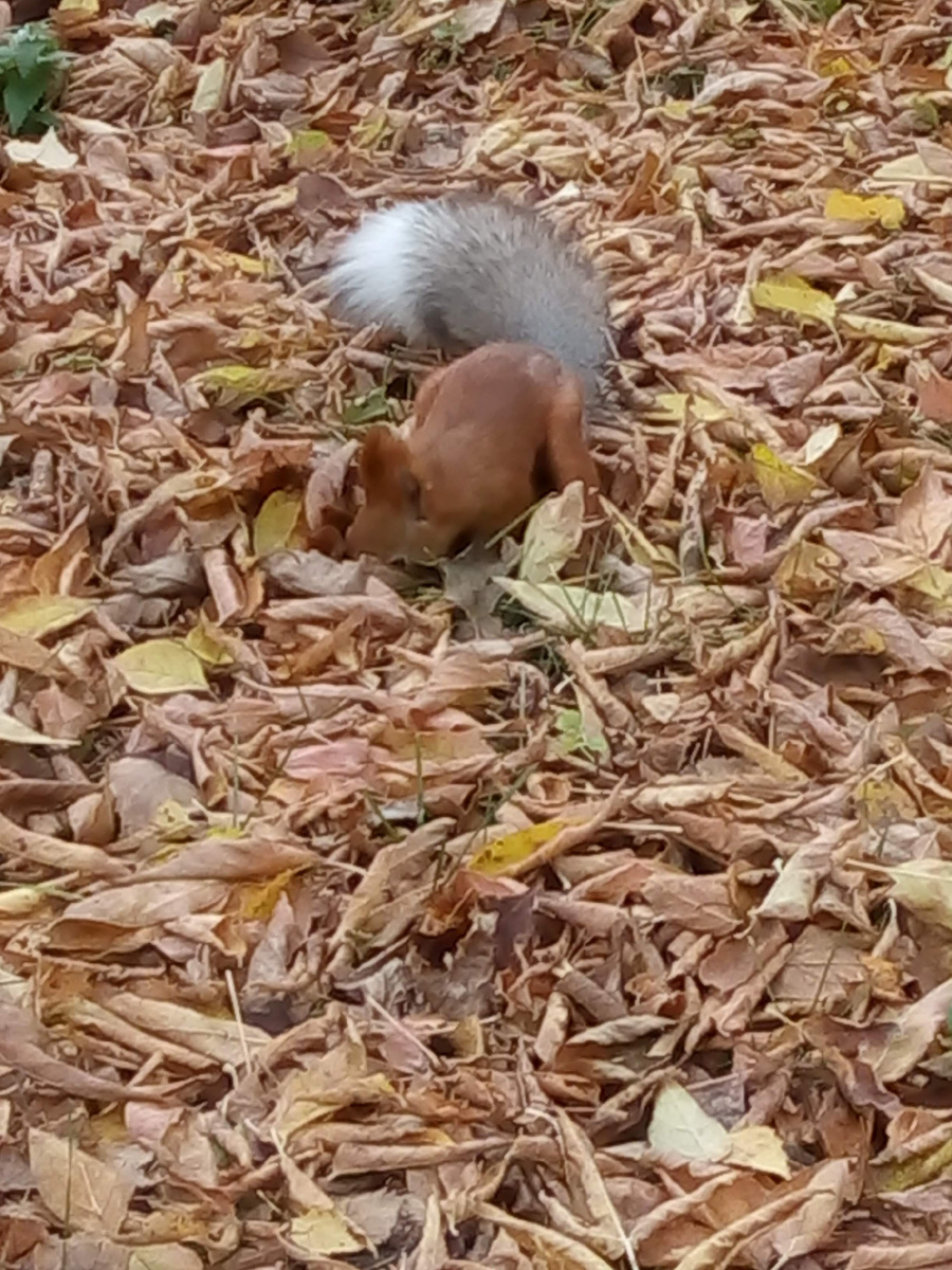 Интересно, что удалось припрятать?