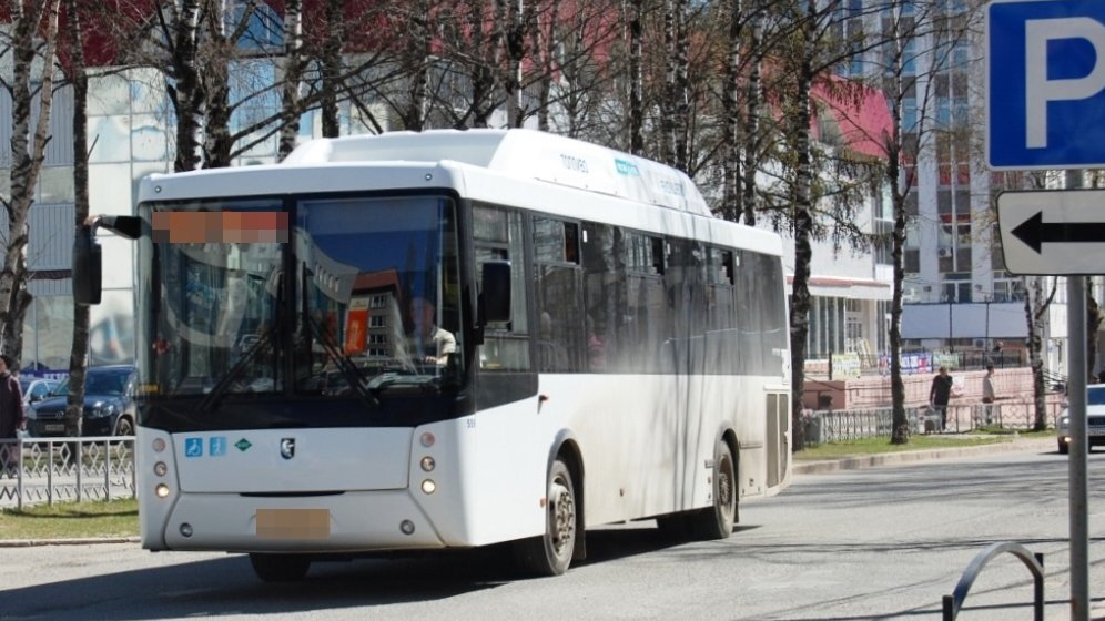 фотография из открытого источника