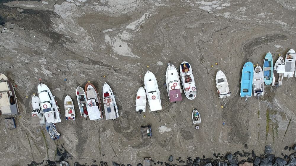 Морская слизь. Съемки с дрона. Фото: 9news.com.au