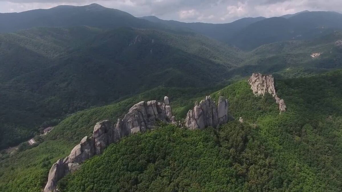 Приморье парк драконов