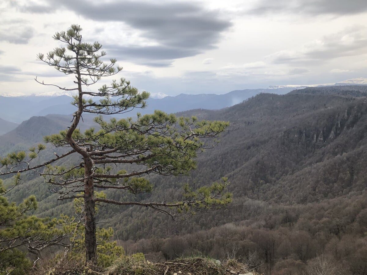 Вид с высоты гор на Адыгею