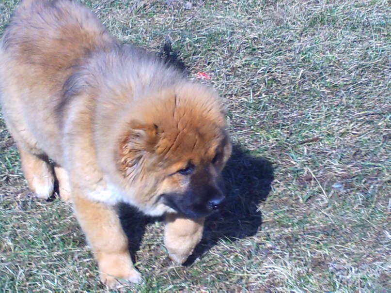 Малышка уже в новом доме