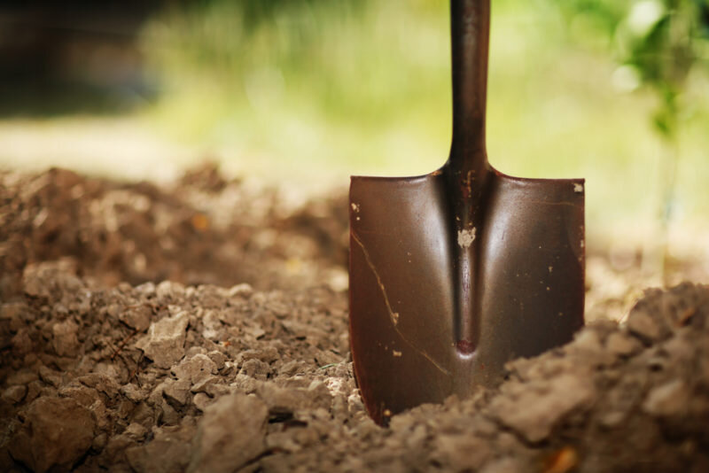 Как сделать плодородную землю из суглинка или глины: пошаговая инструкция