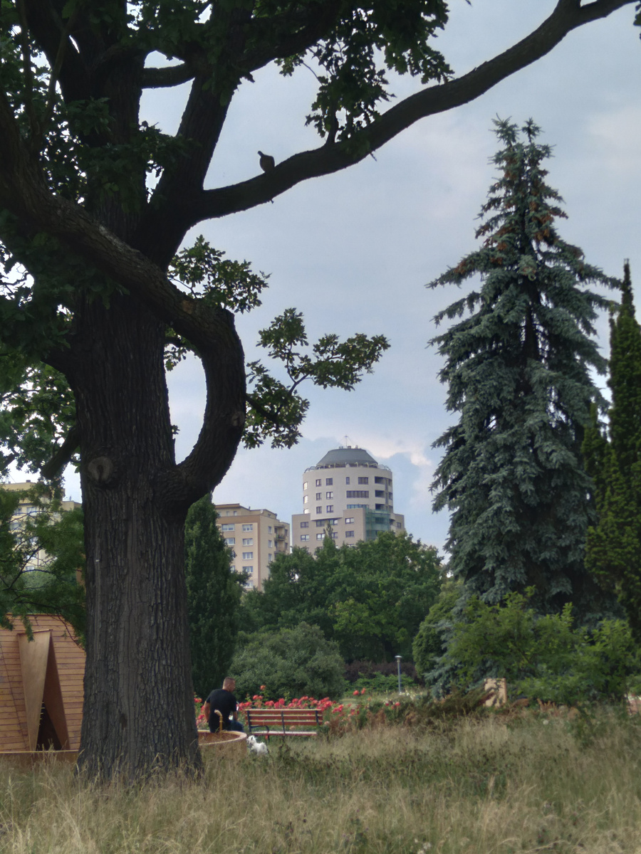 Личное фото автора (город Лодзь, Польша)