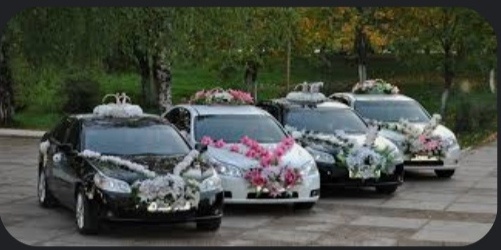 Фото из интернета. 