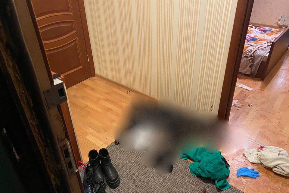 Нападение бродячих собак. Кане корсо атакует. Бойцовская собака загрызла. Загрызли собаку москва. Стая собак.