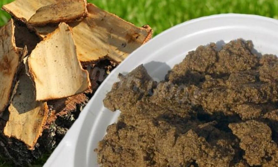 Древесная каша