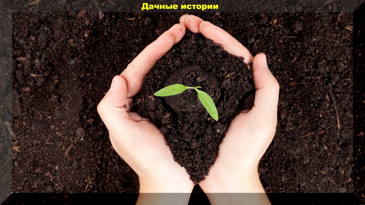 https://vk.com/photo-159774511_457259579