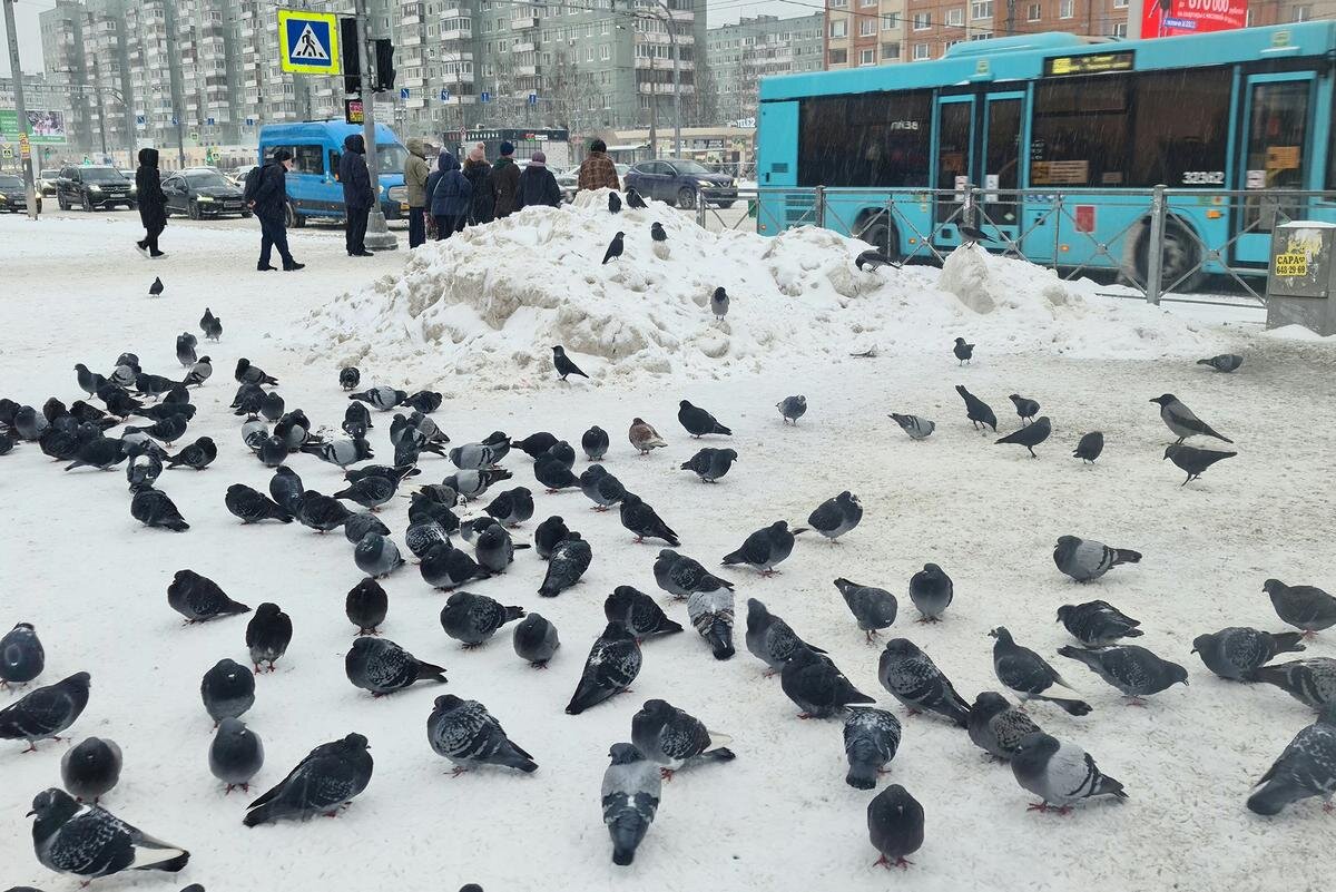 Фото: Олег Золото / MR7