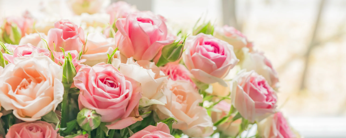 Фото из открытого доступа