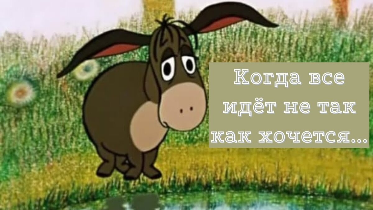 Сегодня мой ёжик вернулся домой грустным осликом.