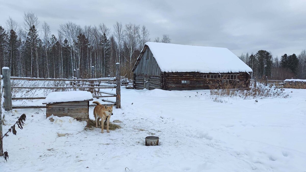 Люди реки Тагт. Путешествие в край сосьвинских манси. | Путешествую по  России | Дзен