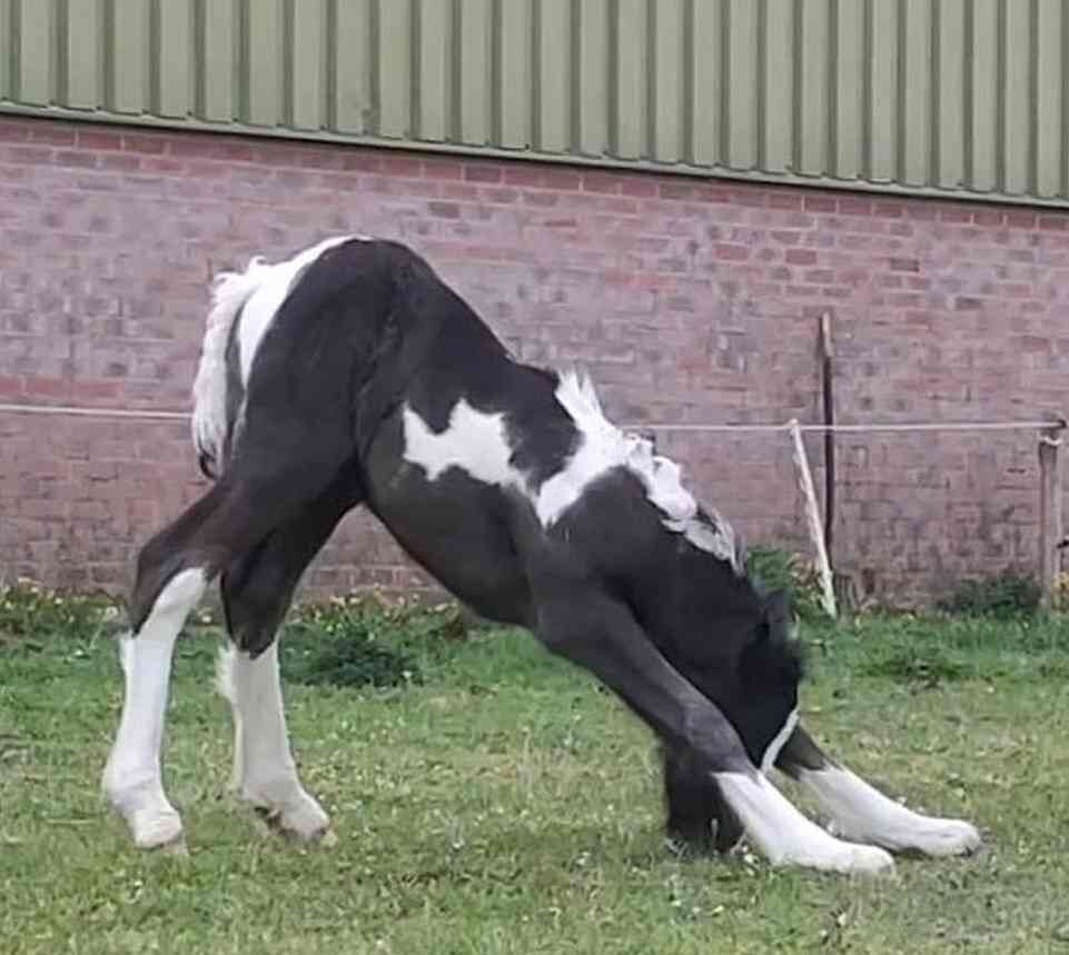 Фото из интернета