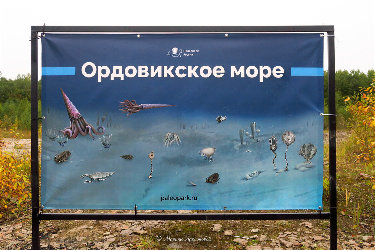 Путилово ленинградская область палеопарк. Палеопарк путилово. палеопарк ленинградская область.