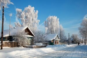    Фото: artfile.ru Мария Спиридонова