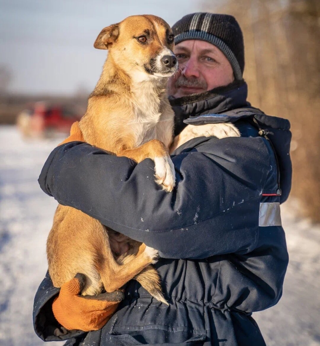 Дай джим чусовой