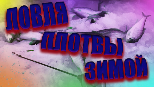 Зимняя рыбалка на водохранилище. Ловля плотвы. Щука на жерлицы. (Видео...