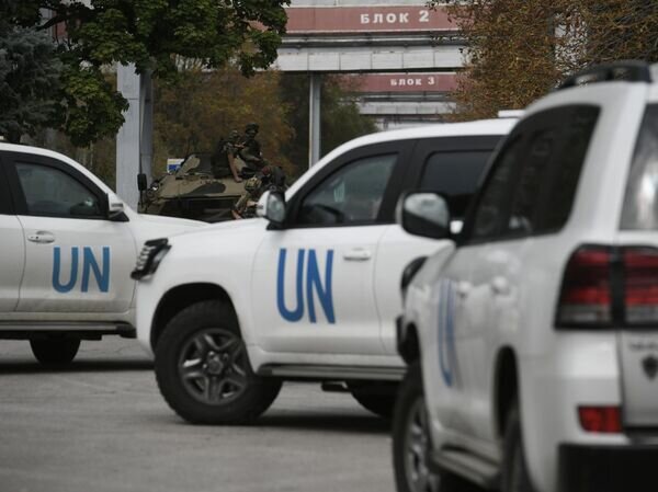   © РИА Новости Константин Михальчевский