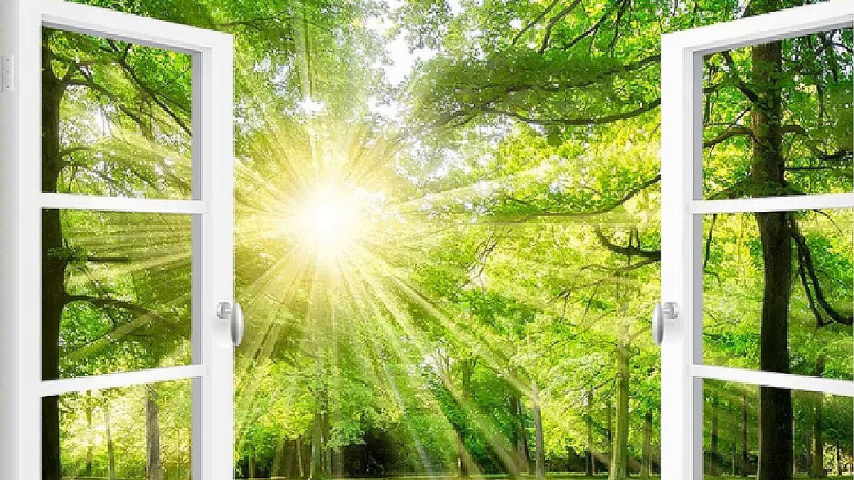 Утро солнце. "солнце в лесу". Солнечные лучи в окне. Фотообои окно видом на природу. Луч солнца в окне.