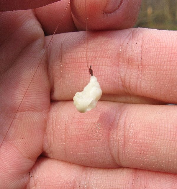 Фото с сайта: https://likewot.ru