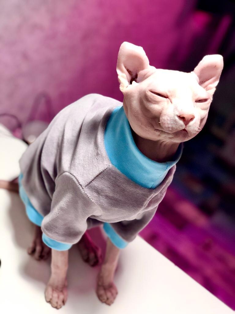 Исходная картинка