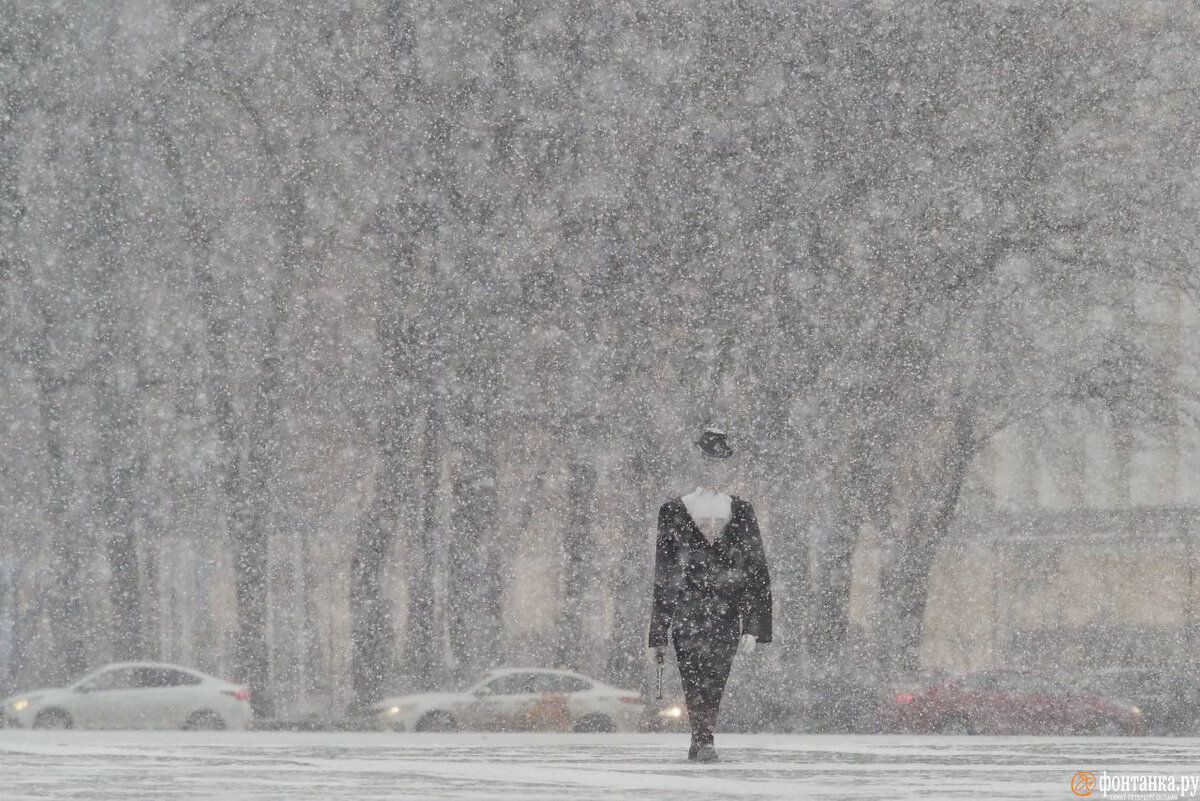   
 Фото: Михаил Огнев / «Фонтанка.ру»