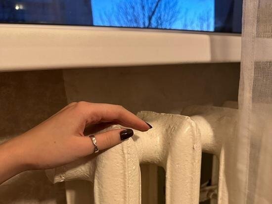     Фото: DonDay.ru.