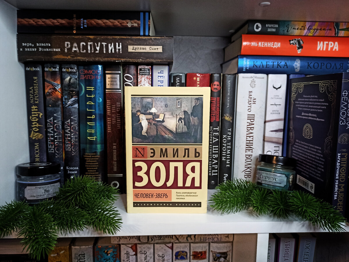 Первые масштабные книжные покупки 2023 года. 12 книг, разных жанров | Книги  | Легенды | История | Дзен