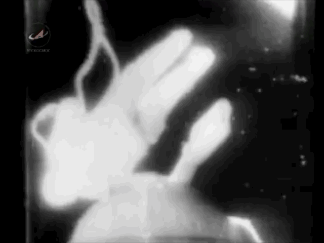 -6