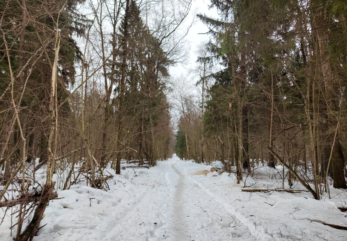 Опалиховский лесопарк