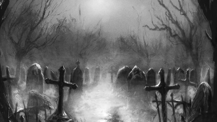 Яндекс картинки 