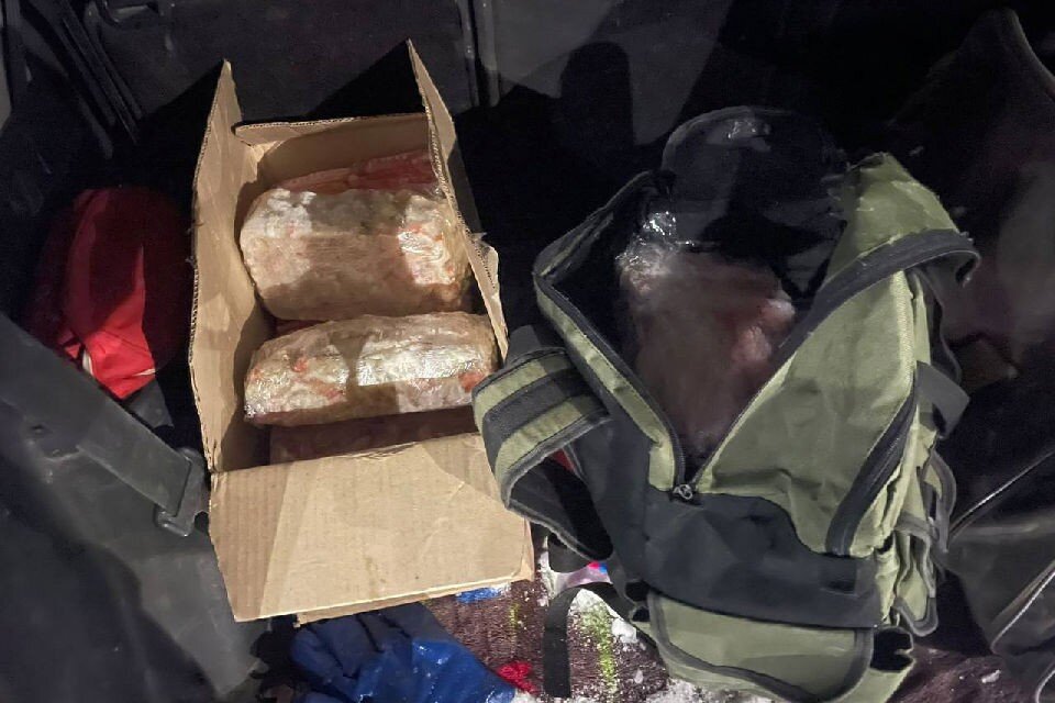     Решается вопрос о возбуждении уголовного дела по части 3 ст. 256 УК РФ. Фото: ПУ ЗАР