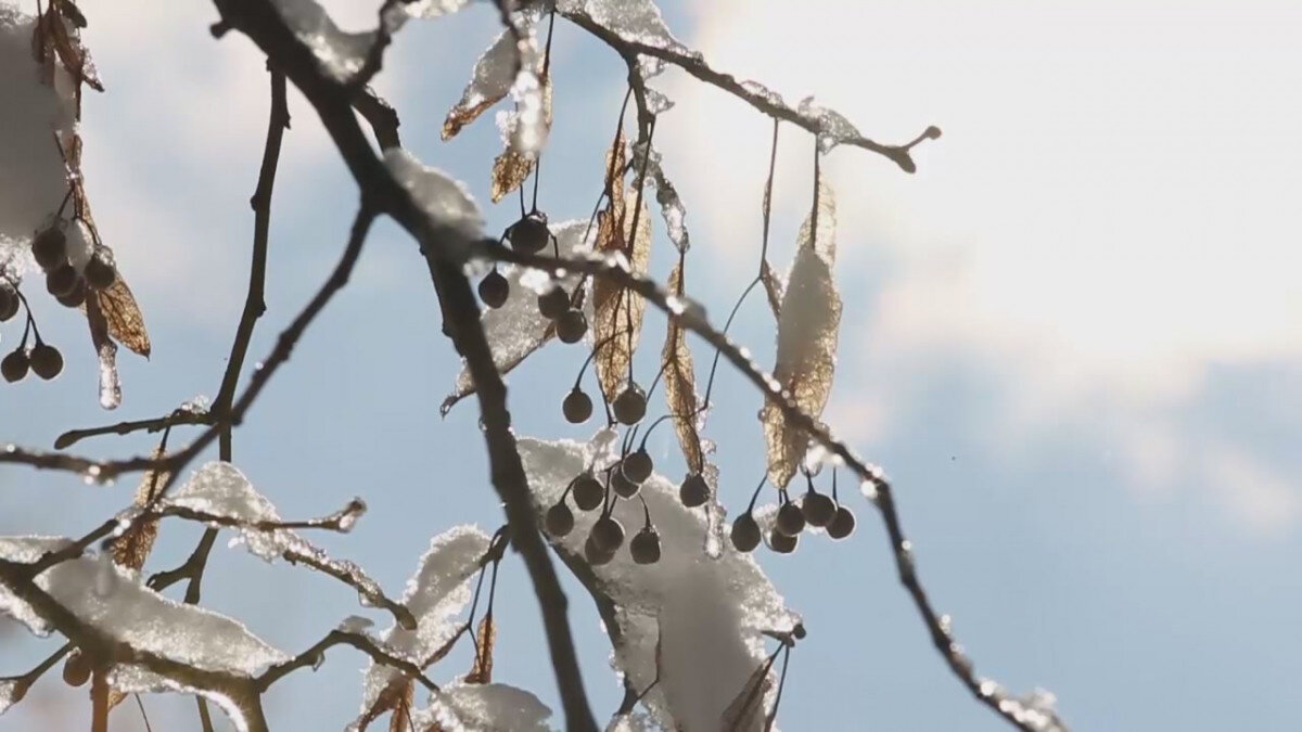   ГТРК "Ставрополье"