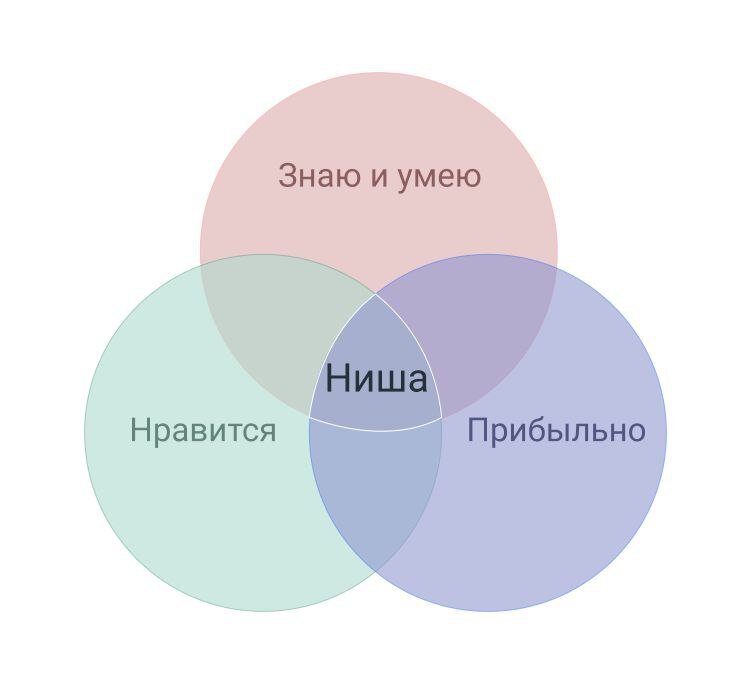 Ниша проекта это