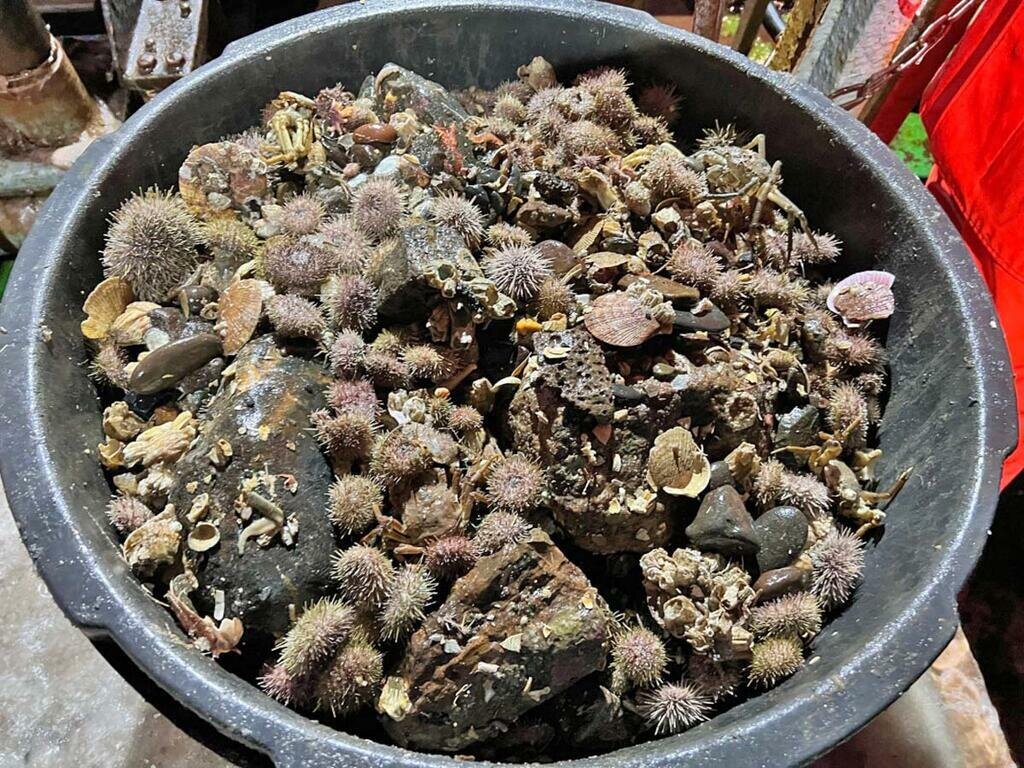 Фото: с сайта ММБИ.