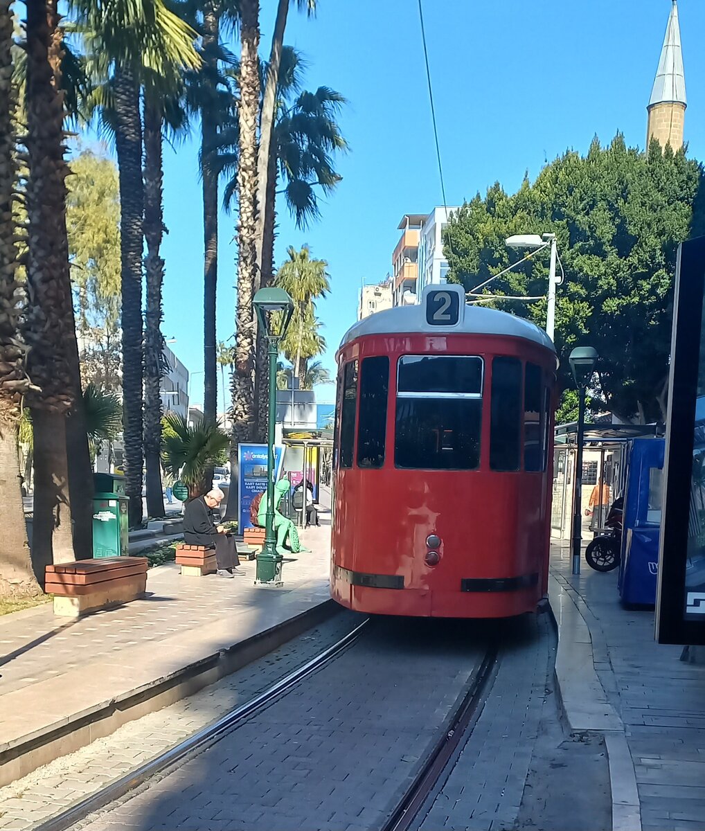 Фото автора. Анталья, Муратпаша. Февраль 2023